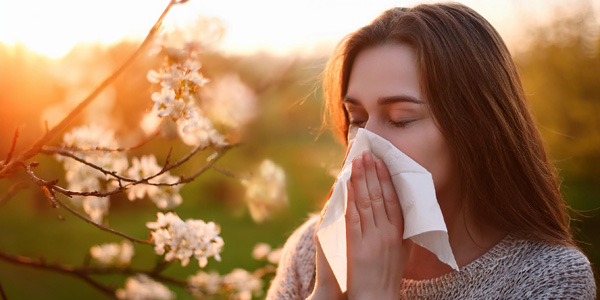 Person hält ein Taschentuch vor dem Gesicht neben blühenden Zweigen, Sonnenuntergang im Hintergrund. Szene deutet auf Heuschnupfen oder Pollenallergie hin.